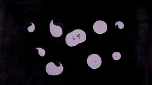 Adhesion-2-Cuculic-300dpi.jpg