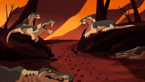 Still--3--Turicianu-Teo.png