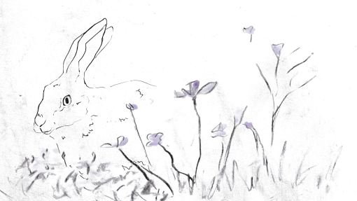 SOWF-Still-002.jpg