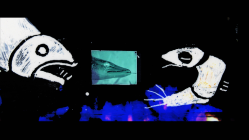 Photo-1-anchovyStill00002.jpg