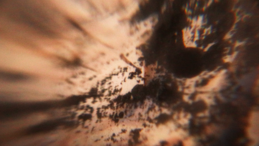 decaer-fotograma-04.png