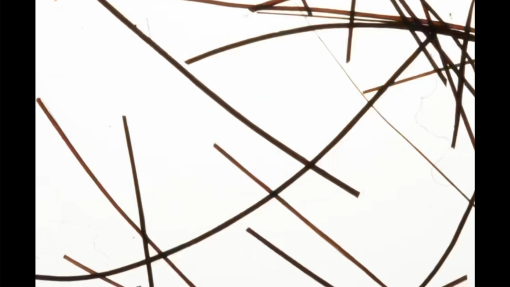 Hair-Splice-Stills-3--1-.png