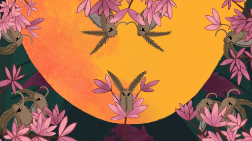 04-Bats-Bugs--Catpics-2026.jpg