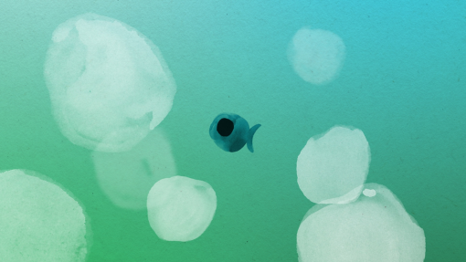 img-Poisson-nuage-300dpi-01.jpg